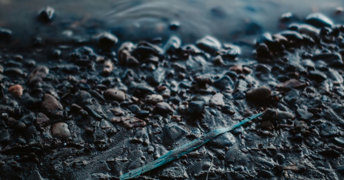 Los 12 casos más graves de contaminación de agua documentados en la historia Los 12 casos más graves de contaminación de agua documentados en la historia