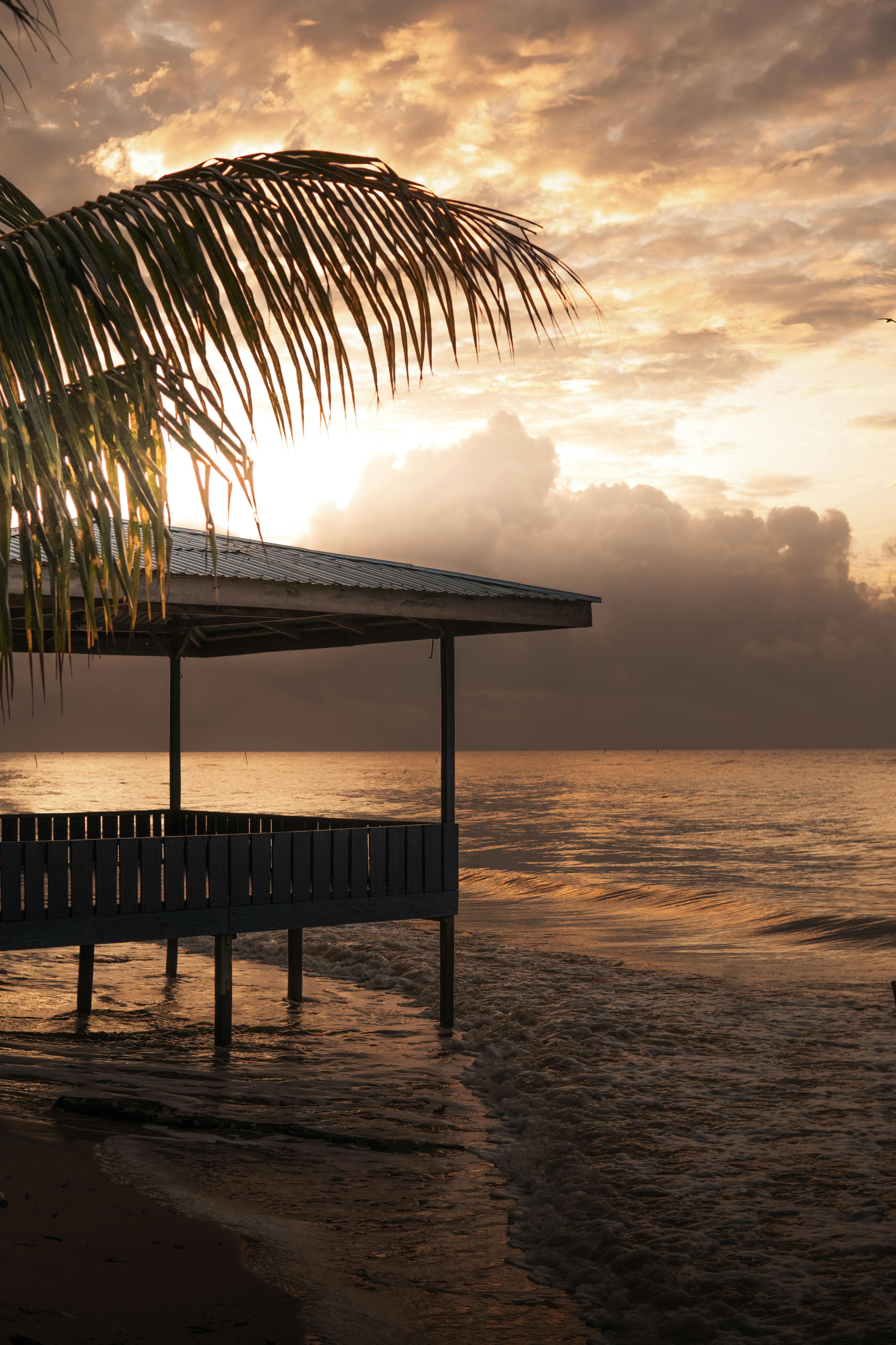 Tranquil beach pier at sunset with dramatic sky and palm leaves gently swaying in the breeze.