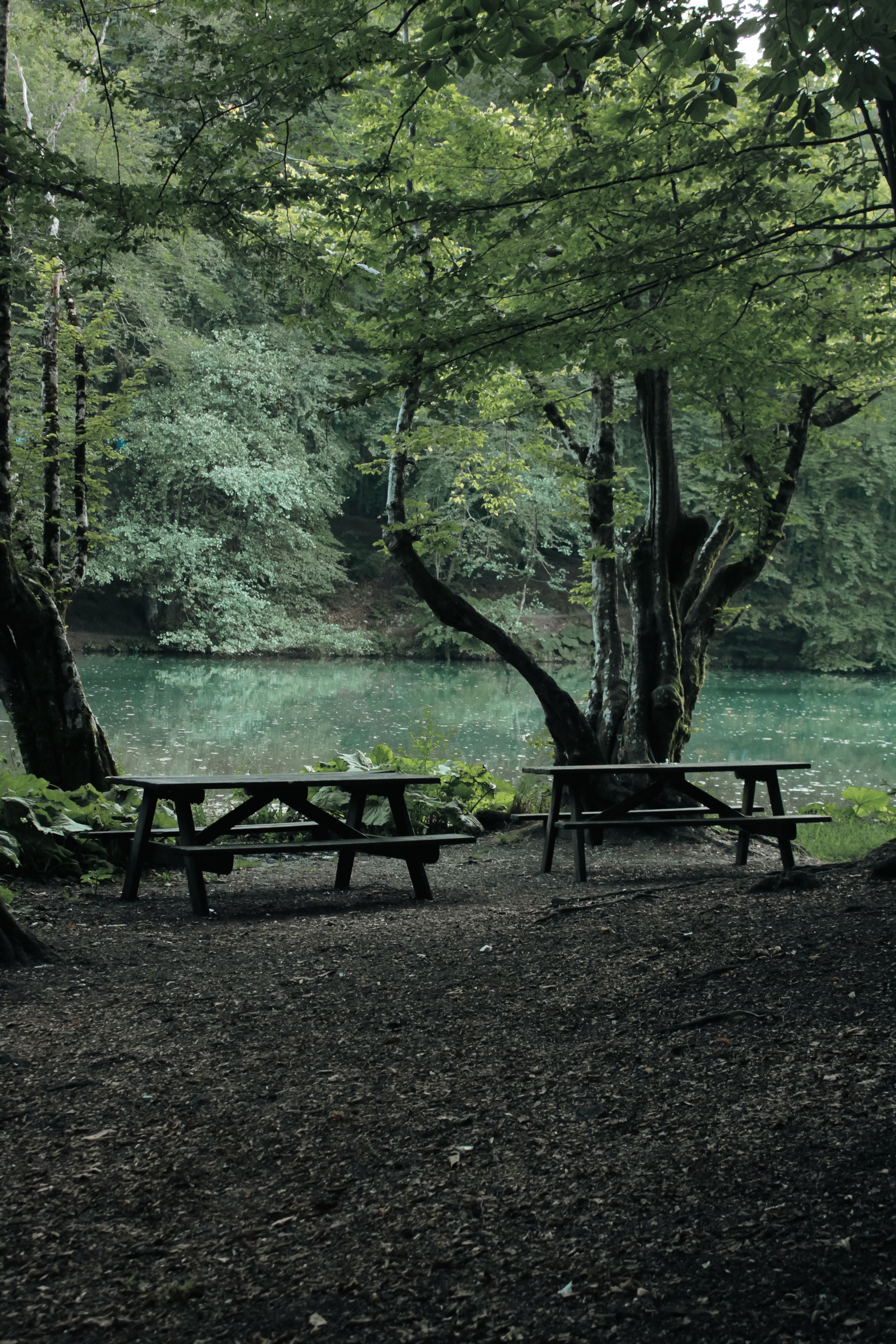 Sunrise over a quiet campground with empty picnic tables and a trail sign