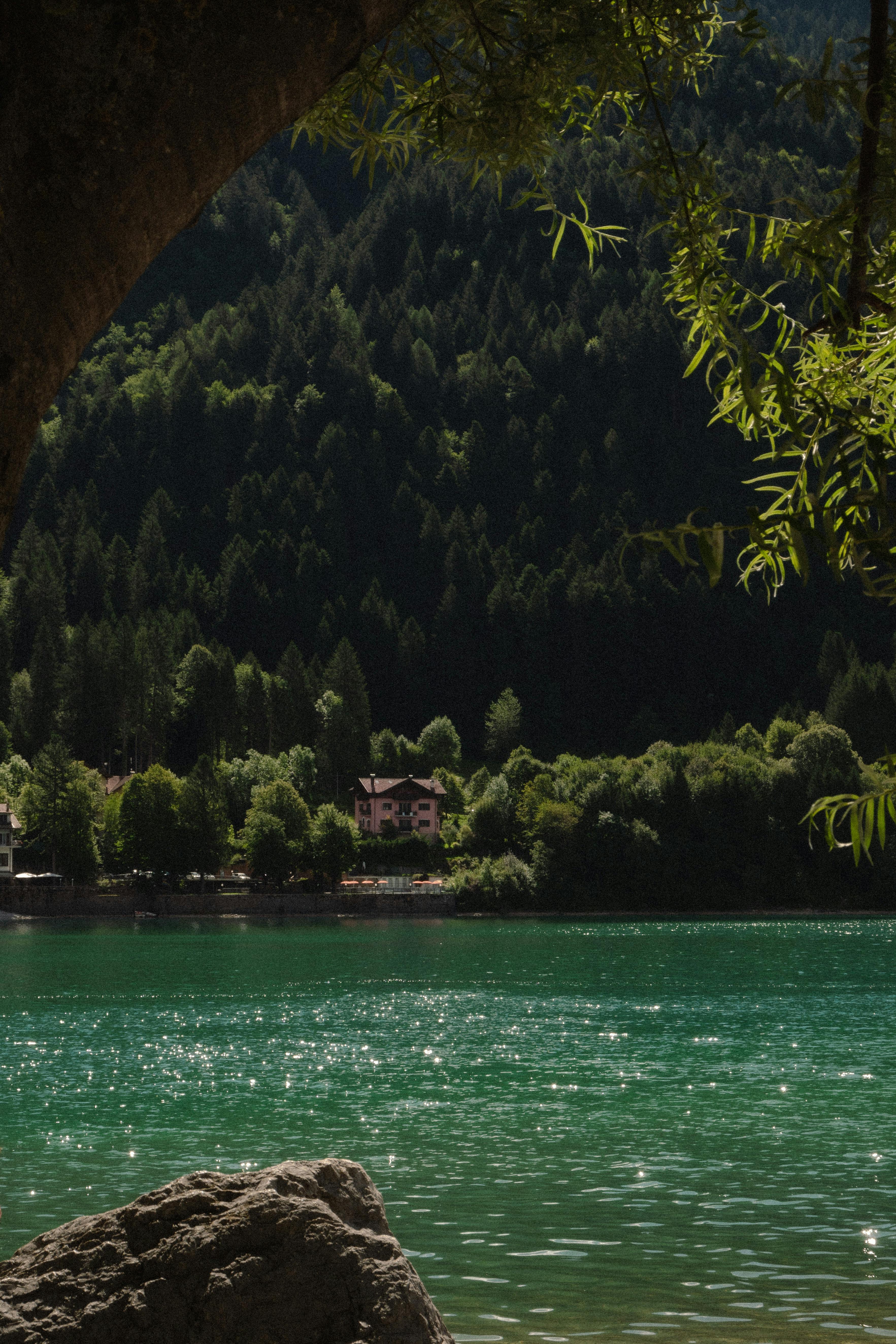 Idyllic mountain lake with green waters and lush forest in summer.