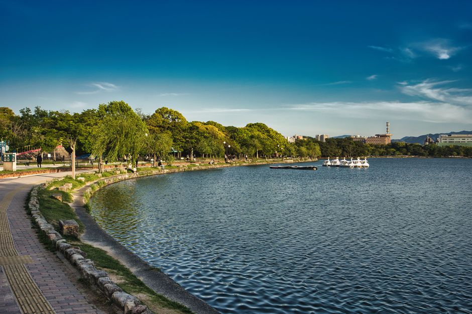Beautiful lakeside view with a path, trees, and paddle boats on a sunny day.