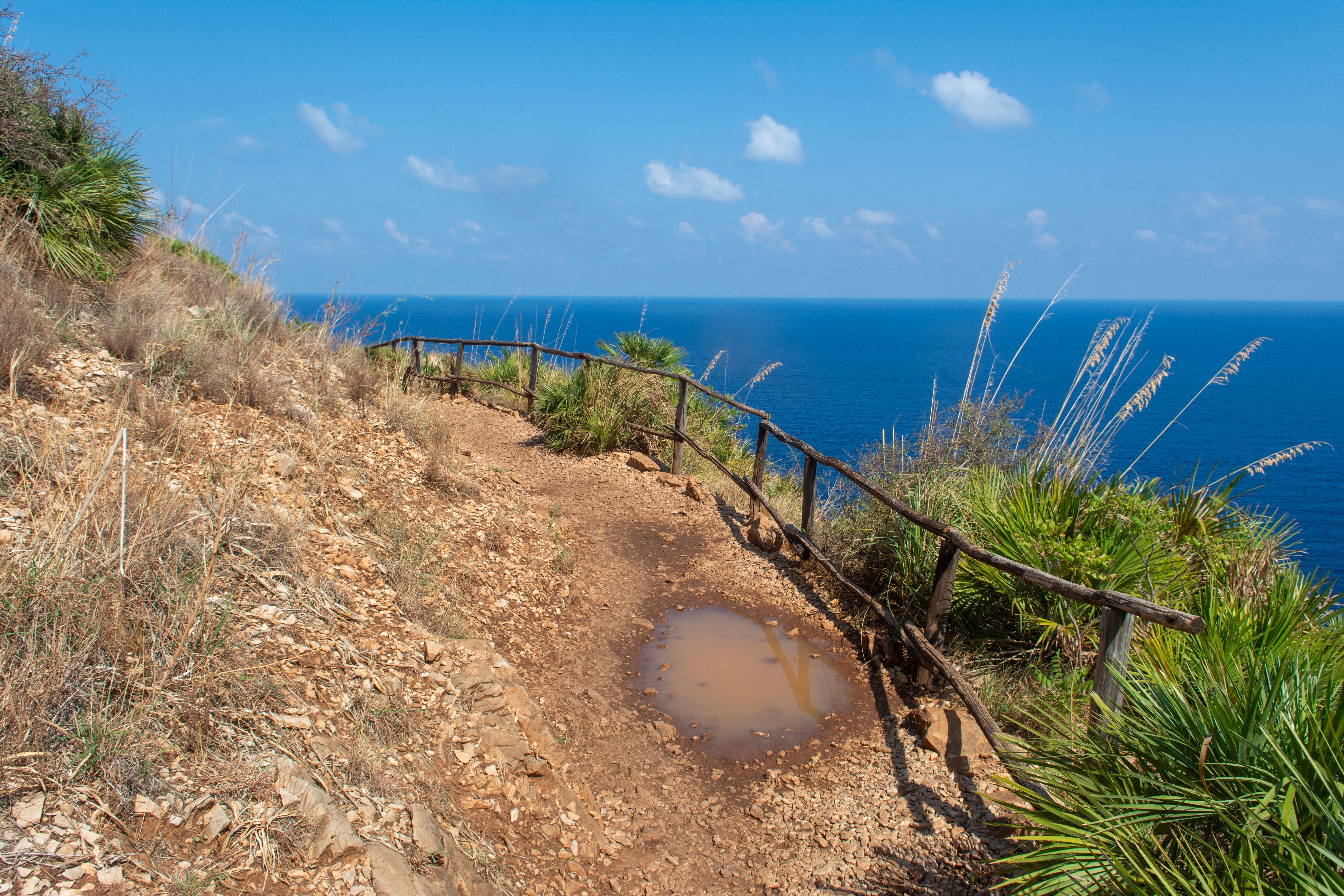 Winding bush path leading toward Ocean Beach from the property