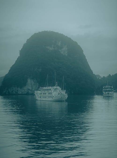 Cruise Ship Sailing by Coastline