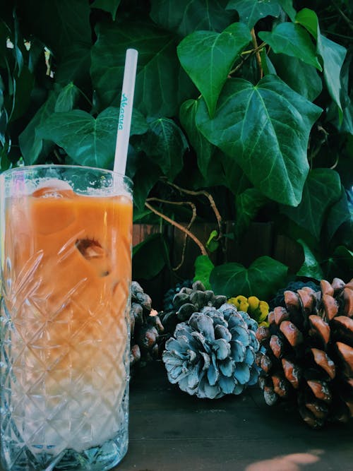 Cones, Leaves and Cocktail