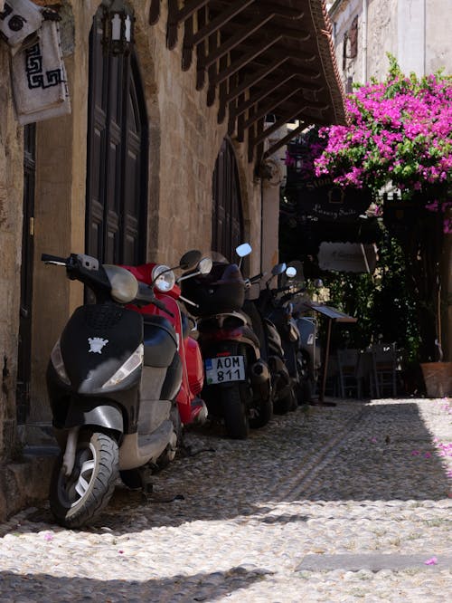 Základová fotografie zdarma na téma akce, atrakce, biker