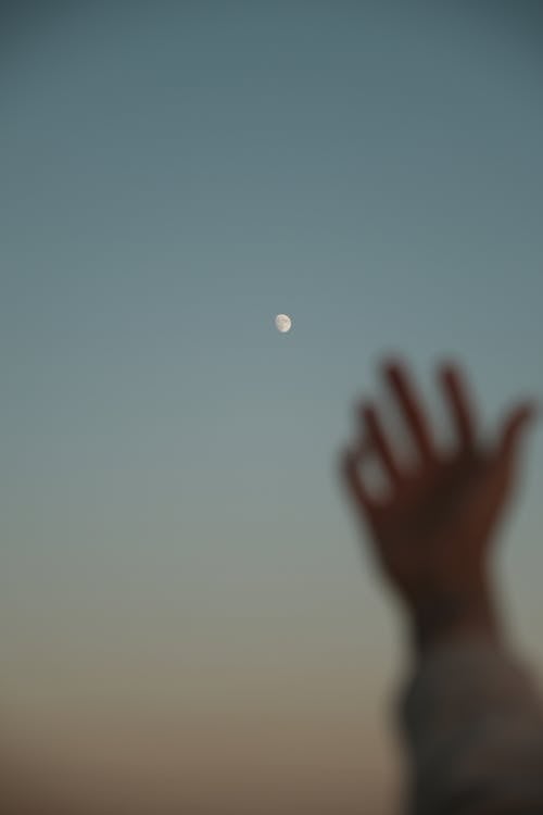 달, 로우앵글 샷, 맑은 하늘의 무료 스톡 사진