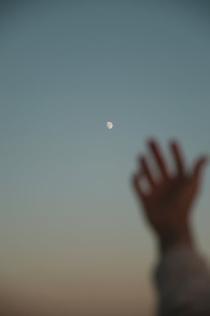 30. "The Celestial Gardener": Growing Dreams 30. "The Celestial Gardener": Growing Dreams