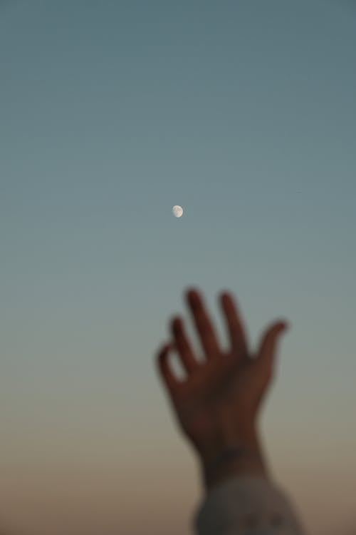 Fotos de stock gratuitas de cielo limpio, enfoque selectivo, foto de ángulo bajo