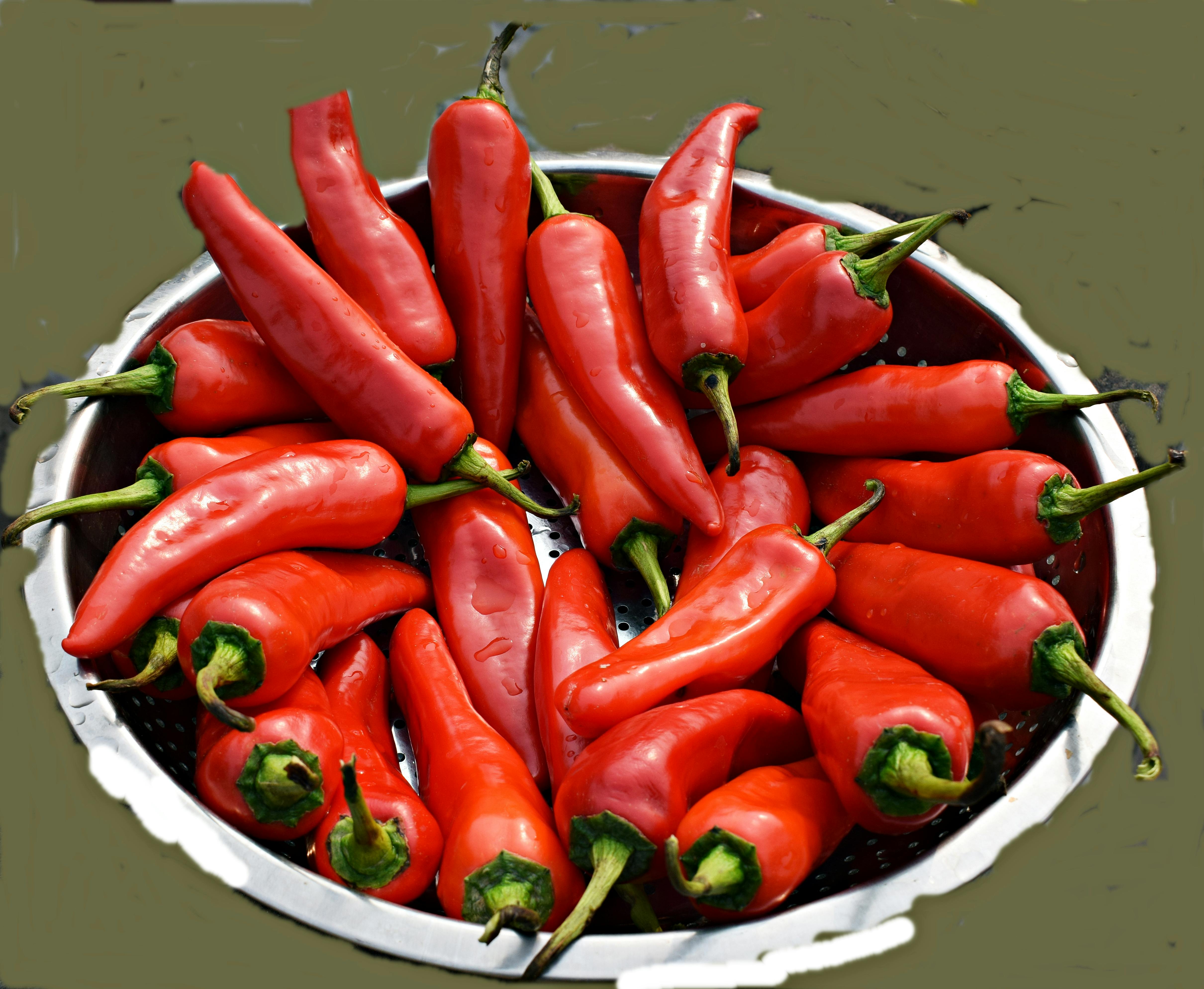 Free stock photo of chili, chili pepper, food