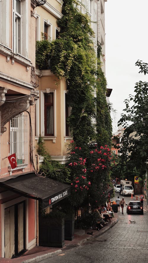 Street and Building in Town in Turkey