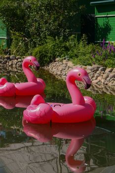 Two bright pink inflatable flamingos floating on a sunny pond with lush green surroundings.