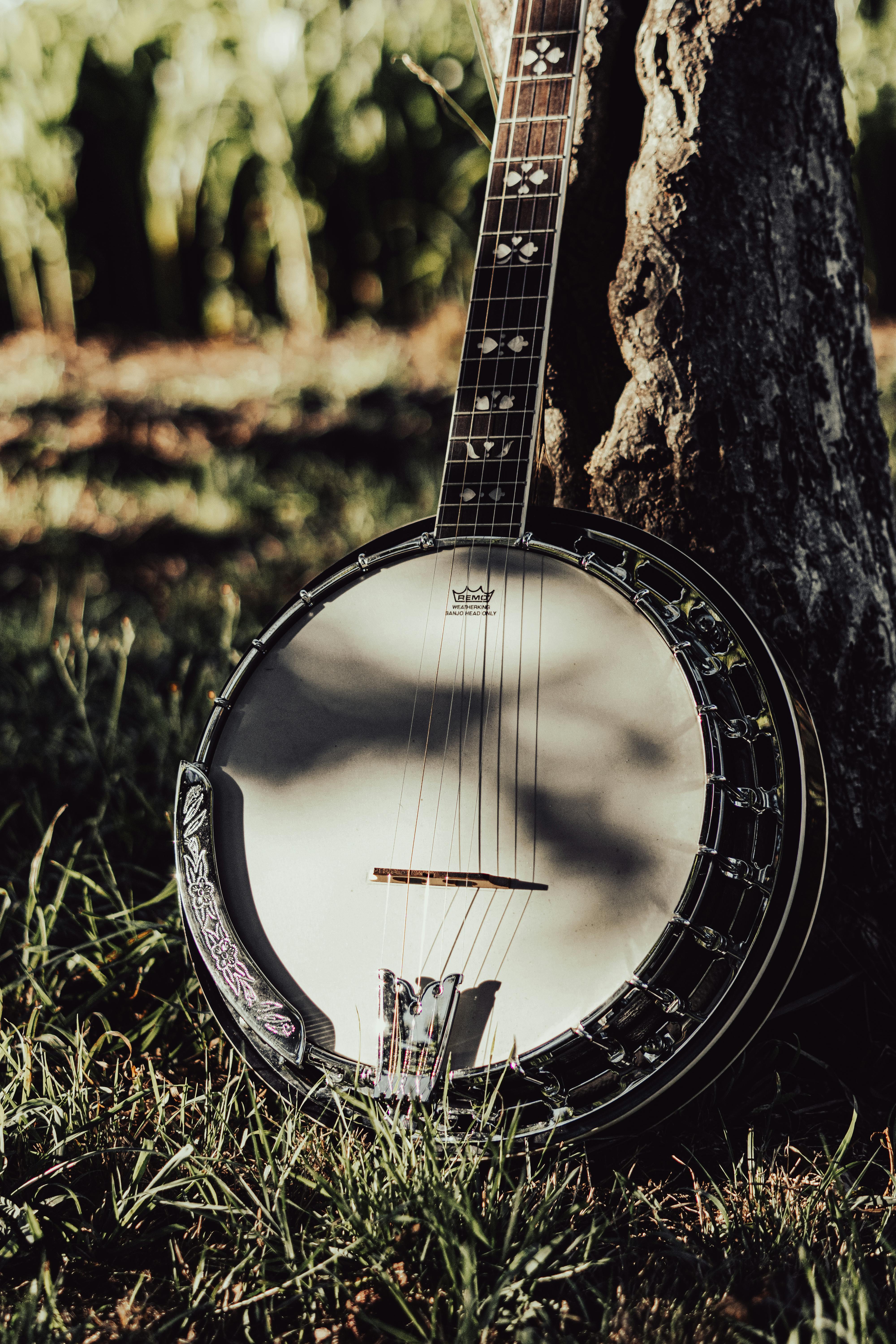 Bluegrass Instruments, fiddle, drobro, and banjo, guitar, bass, mandolin,  HD wallpaper | Peakpx