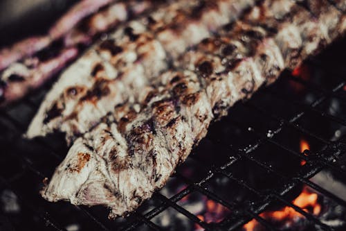 Gratis Foto stok gratis alat barbecue, daging, fotografi makanan Foto Stok