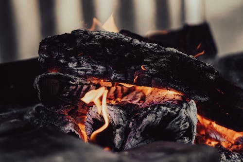 Bezpłatne Darmowe zdjęcie z galerii z barbecue, drewno, ogień Zdjęcie z galerii