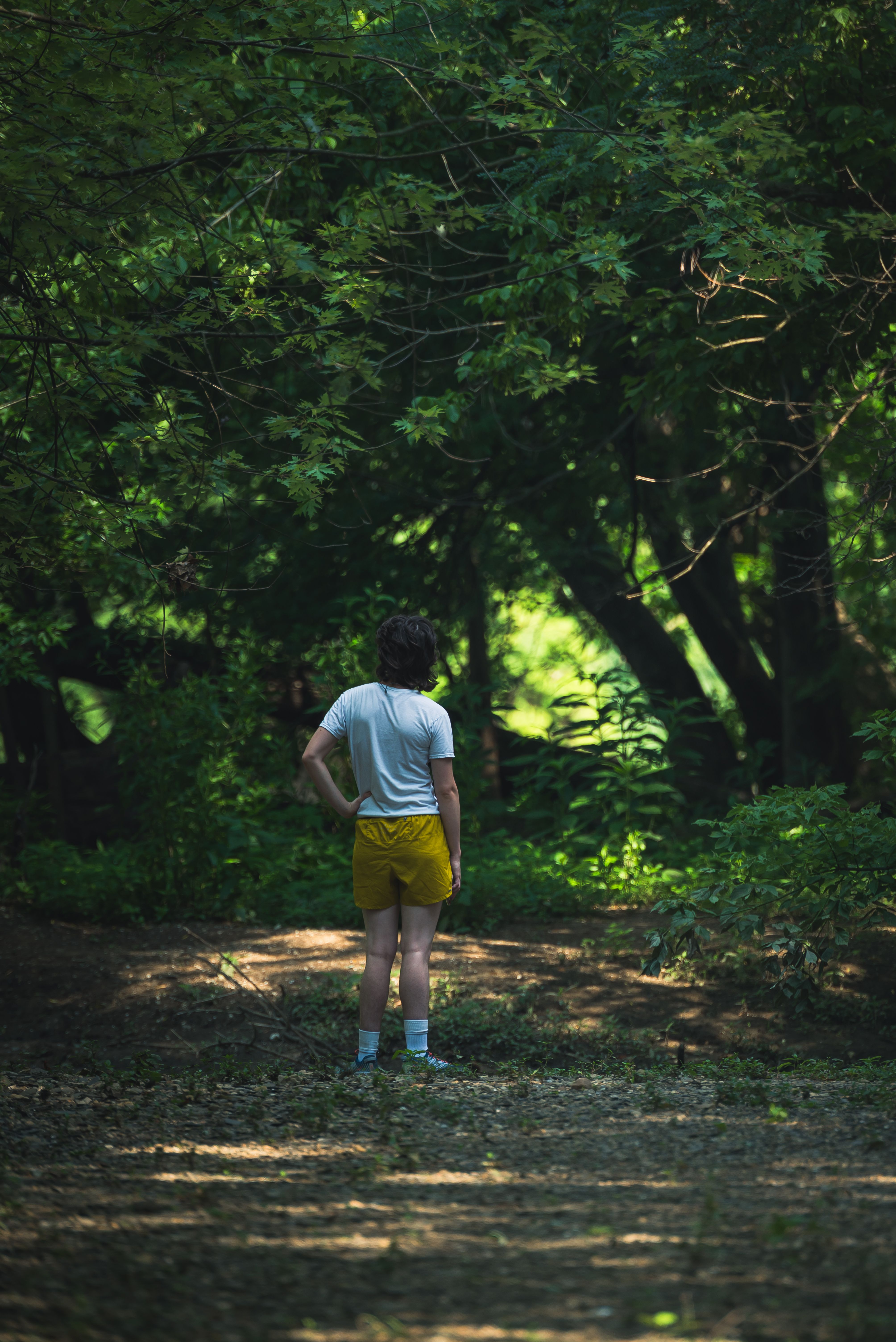 Woman on a Path in a Forest · Free Stock Photo