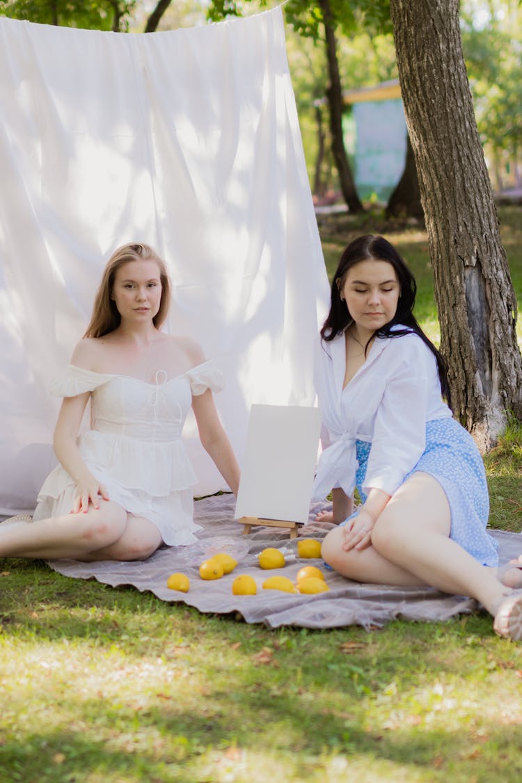 Women On A Picnic In A Park