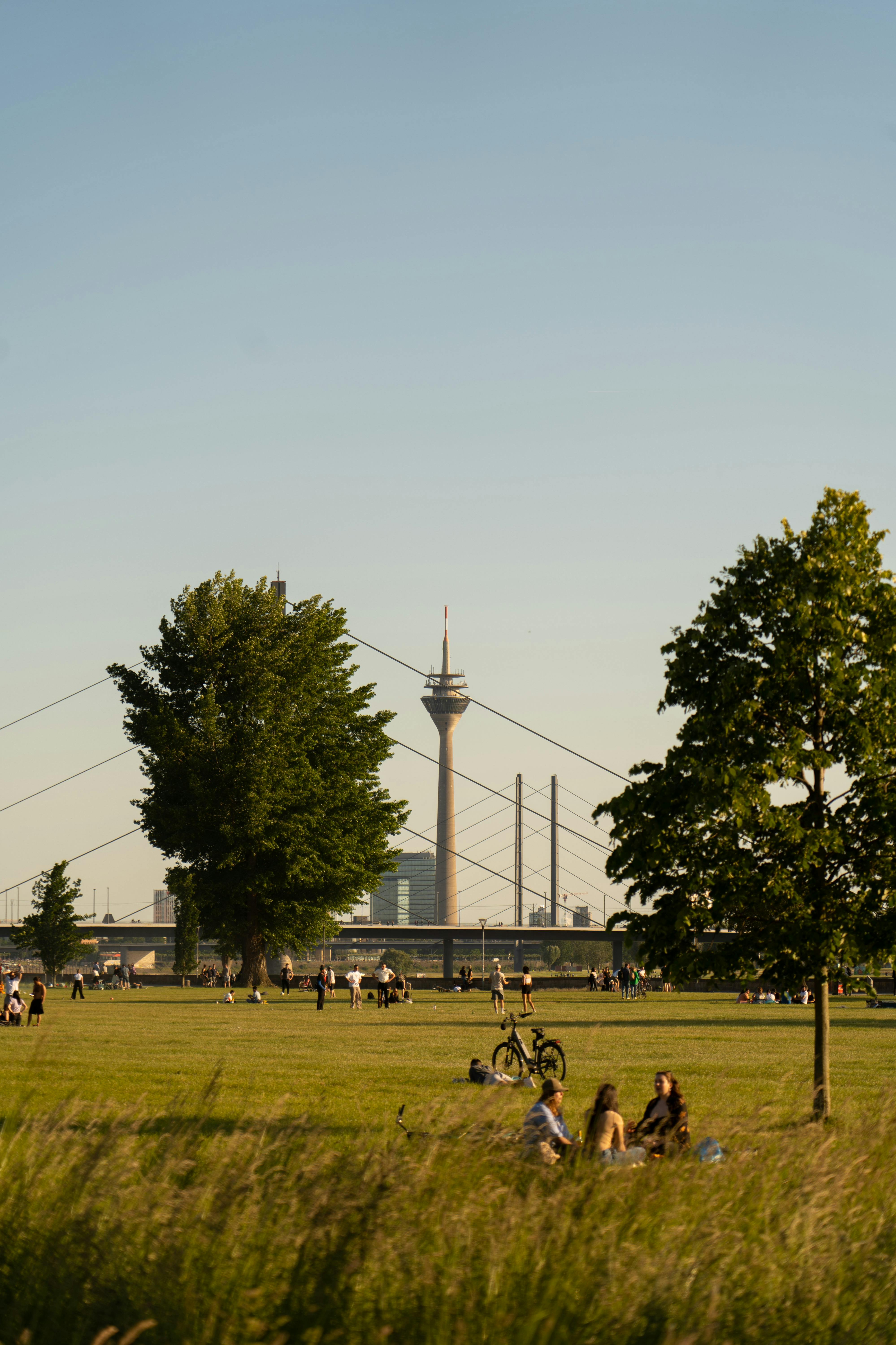 People enjoying a sunny day in a Düsseldorf park with a view of the Rhine Tower.