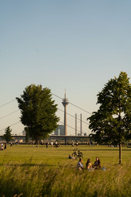 People enjoying a sunny day in a Düsseldorf park with a view of the Rhine Tower.