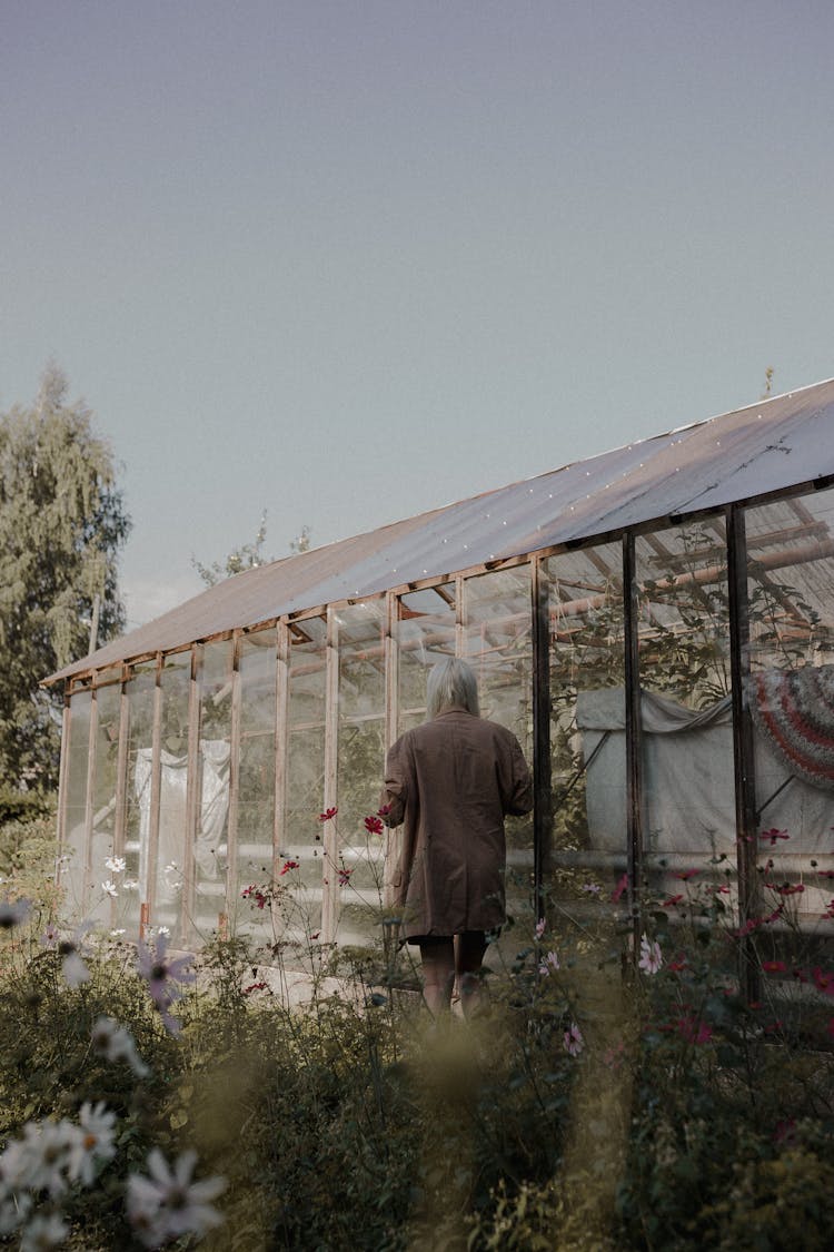 Woman Standing Near Greenhouse