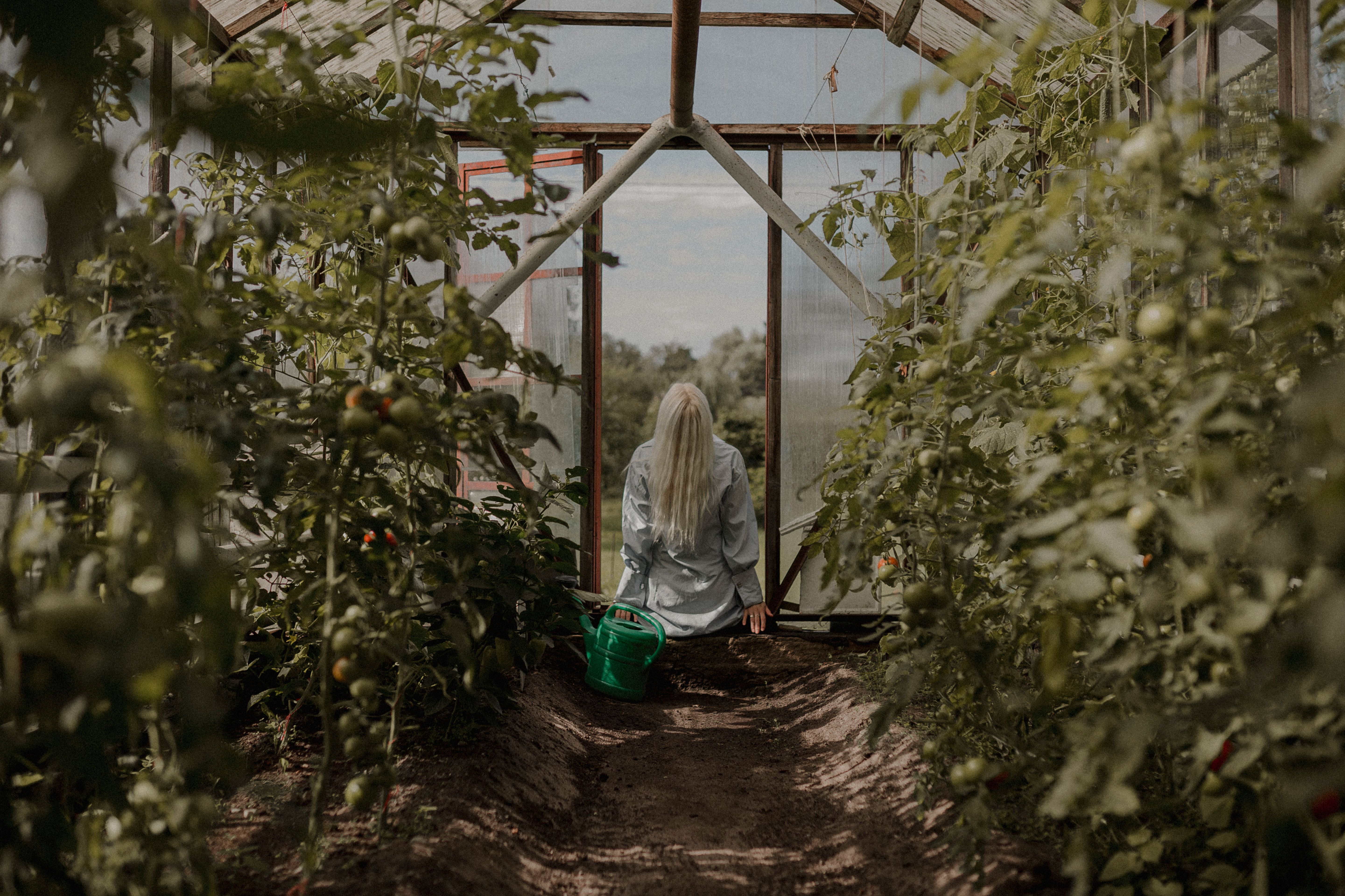 Home Vegetable Garden & Greenhouse Masterclass