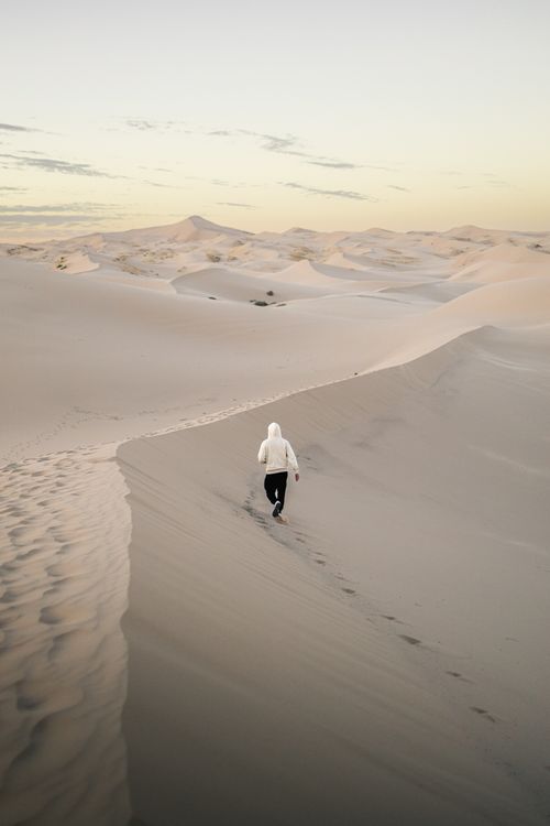 Free A lone person walks across the vast sandy dunes of Samalayuca under a serene sky. Stock Photo