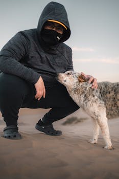 image.mefiz.com