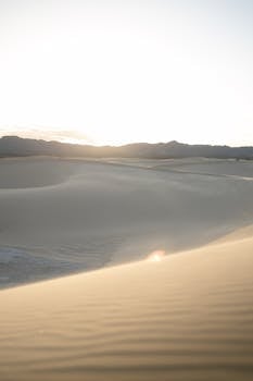 Golden sand dunes illuminated by the sunrise at Samalayuca, Mexico.