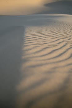 Serene sand dunes casting rippling shadows at sunset in Samalayuca Desert, Mexico.