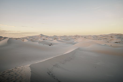 Serene view of the vast Samalayuca dunes at sunrise, capturing nature's tranquility.