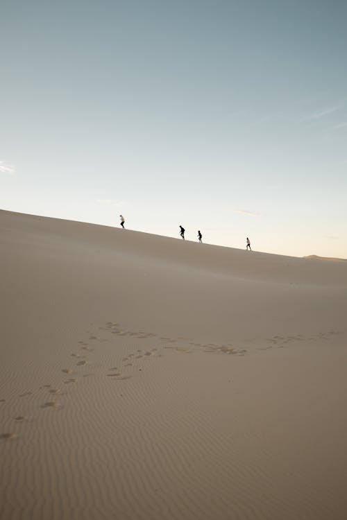 People walking on a sand dune at sunset