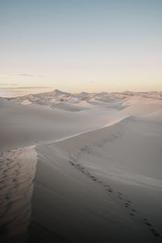 Tranquil desert landscape of Samalayuca Dunes, Mexico during sunset with soft sand patterns.
