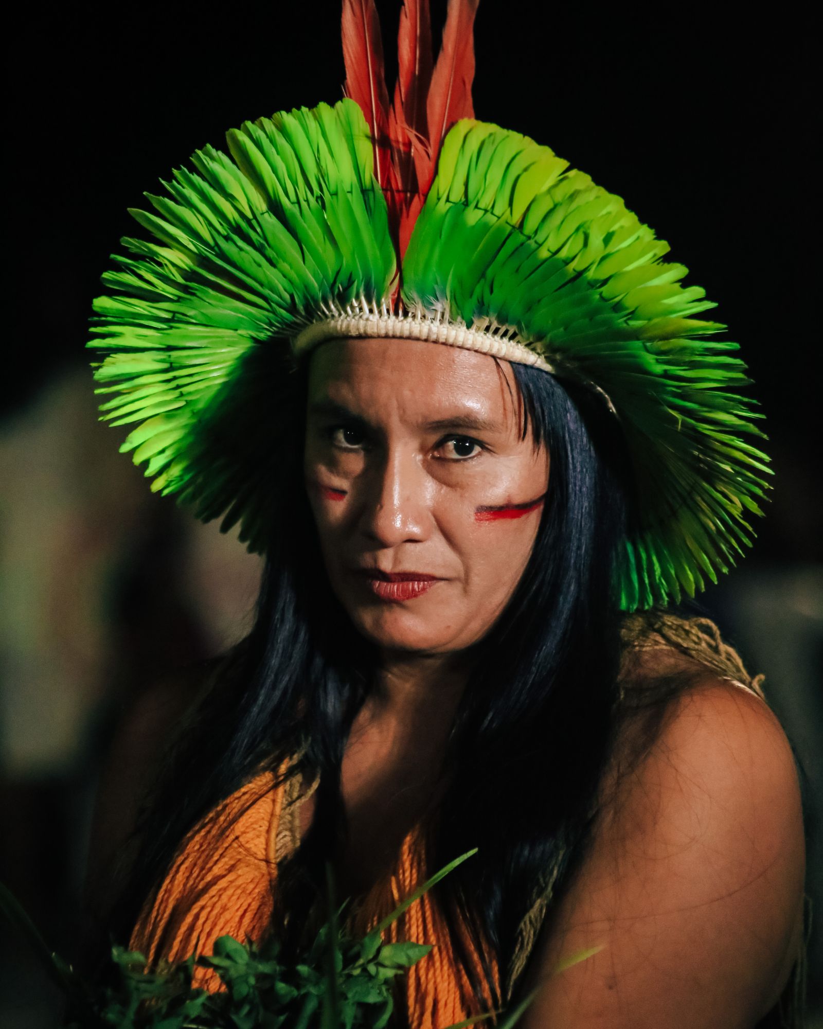 Amazon River Photos, Download The BEST Free Amazon River Stock