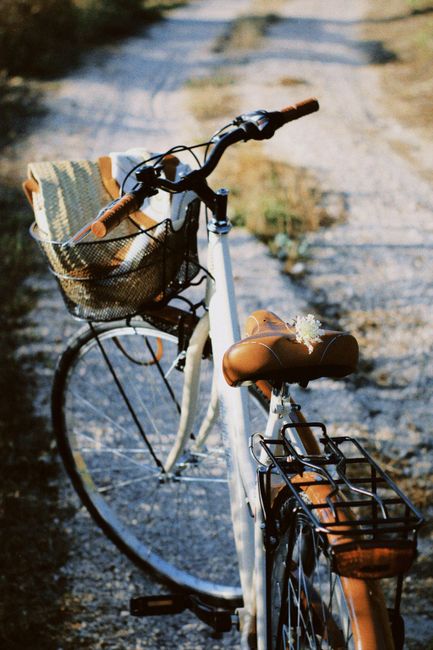 A classic bicycle stands on a tranquil country gravel road, symbolizing travel and simplicity.