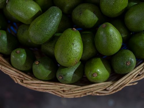 Free A close-up view of freshly harvested organic avocados in a wicker basket at a market. Stock Photo