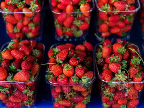 Red Strawberries in Plastic Containers