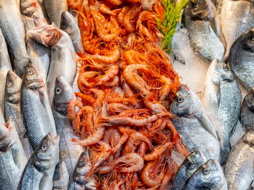 Free A vibrant display of fresh fish and shrimp at a seafood market. Stock Photo