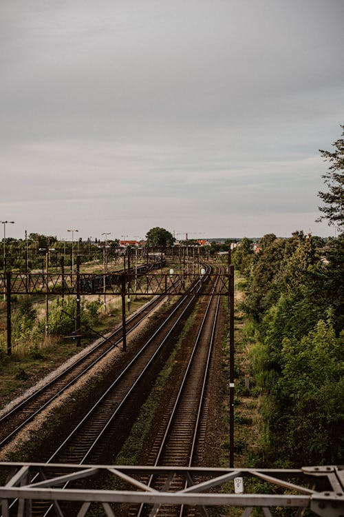 Photos gratuites de arbres, balustrades, de banlieue