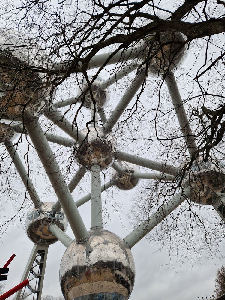 Circular Installation Among Branches