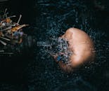 一个人在水里进行精神净化仪式