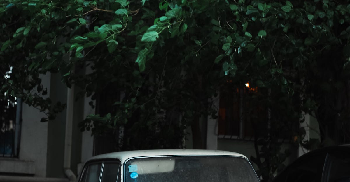 Fotos De Estudio Profesionales De Automóviles