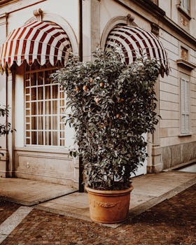 Quaint Italian street scene with potted lemon tree and striped awnings in Stresa, Italy.
