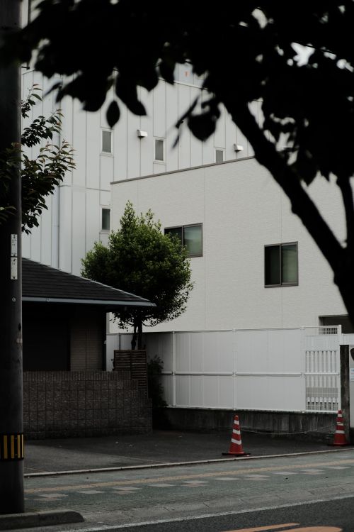 Free Muted urban street view featuring modern architecture and decorative trees. Stock Photo