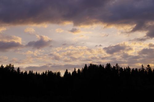 Free A serene forest silhouette beneath a dramatic evening sky with clouds. Stock Photo