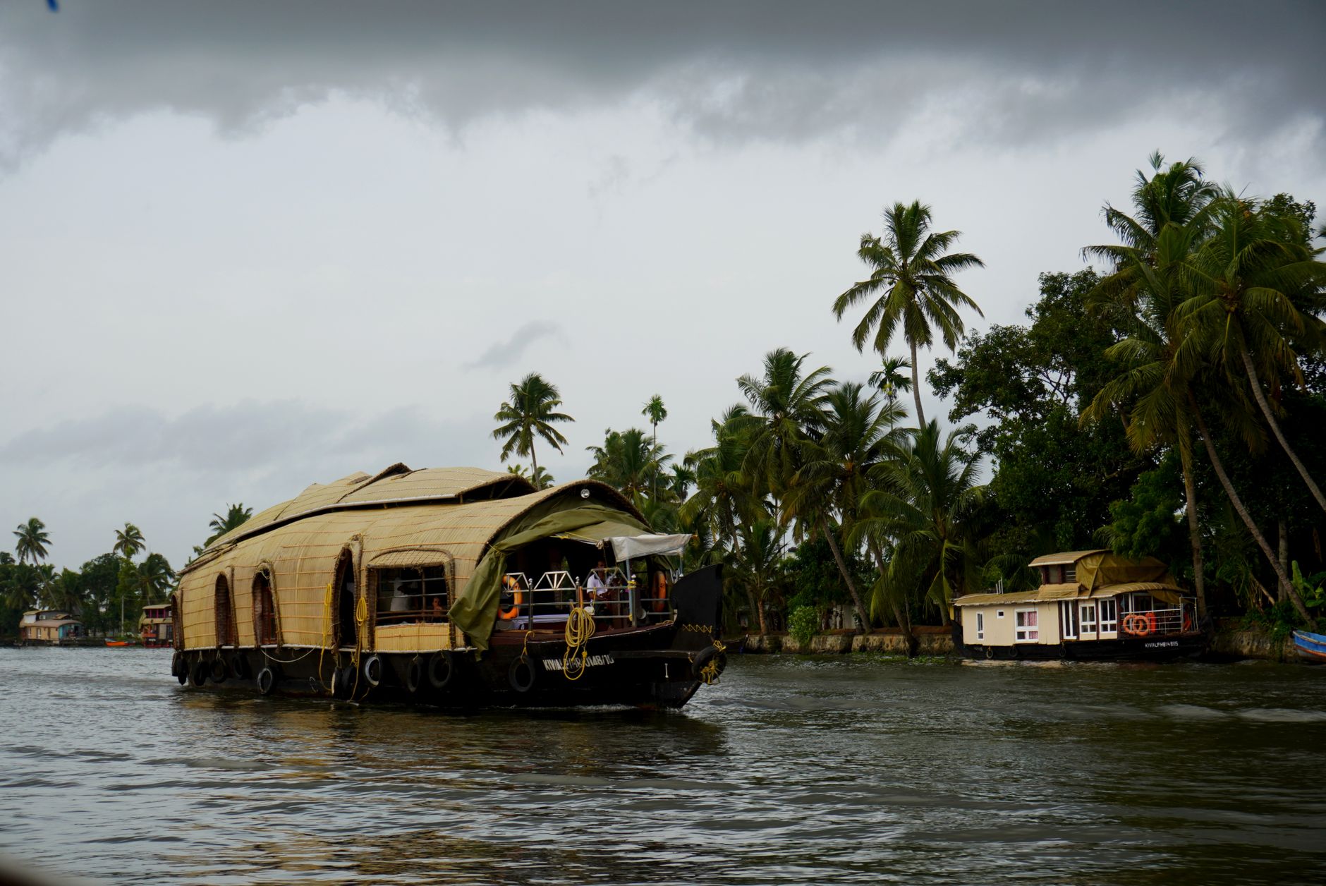 Backwater Cruise