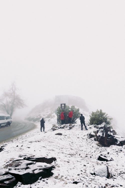 Fotos de stock gratuitas de aventura, carretera, frío