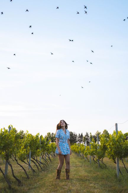 Woman stands in vineyard, looking up at birds flying overhead. A serene rural scene.