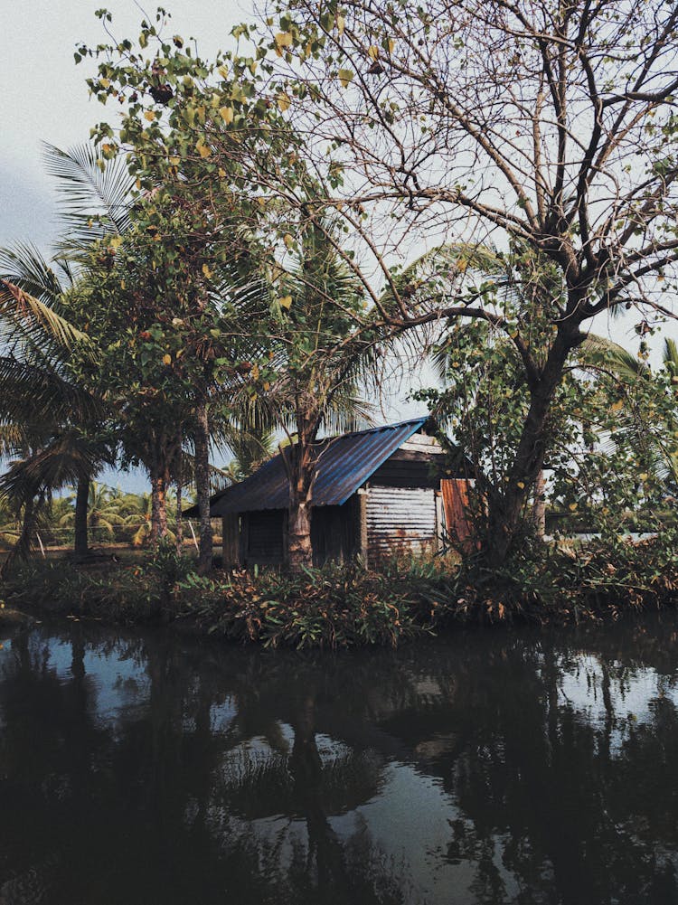 A Hut By A River 