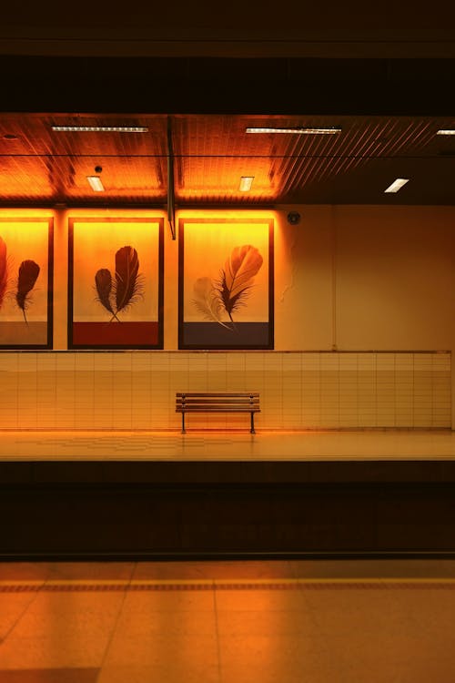 Gratis lagerfoto af lodret skud, metrostation, orange belysning