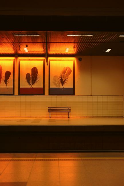 An orange-lit subway station featuring framed feather art on the platform.