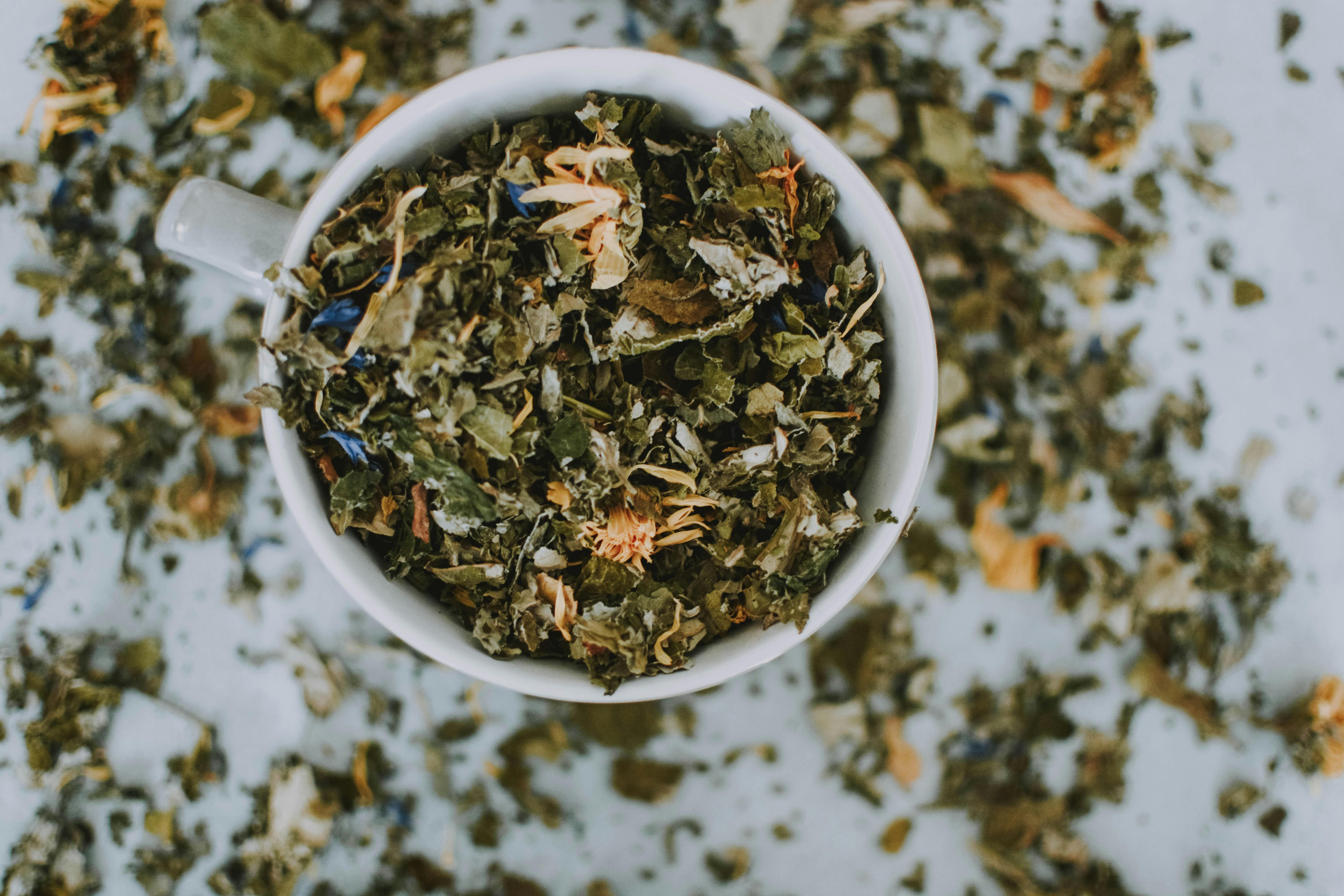 Top Green Tea Wholesalers in the Market